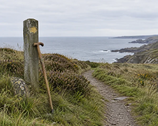 A weathered wooden waymarker with a faded yellow arrow stands beside a rocky footpath through coastal grass and heather.