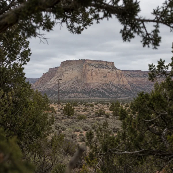 A broad, layered sandstone mesa rises beyond a sage-dotted plain, framed by dark juniper branches; a lone unlit lamp post stands in the mid-ground beneath an…