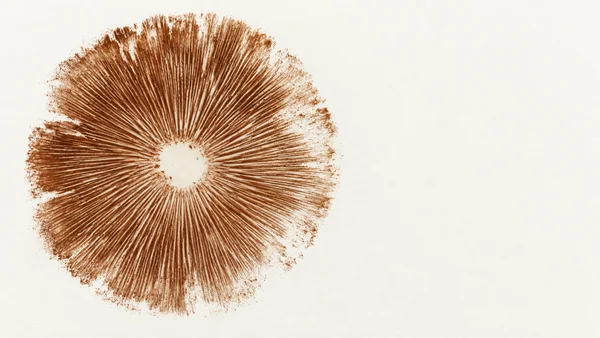 A large rust-brown circular mushroom spore print with fine radial lines and a pale central opening lies on ivory paper, leaving broad empty space to the right.