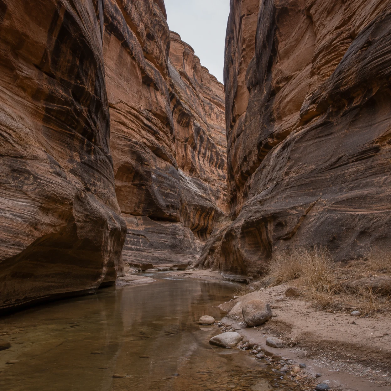A narrow sandstone canyon with layered rust and brown walls curving toward the distance, a shallow stream across damp sand, smooth stones and dry grass beneath…