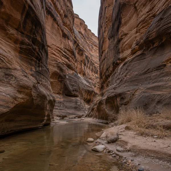 A narrow sandstone canyon with layered rust and brown walls curving toward the distance, a shallow stream across damp sand, smooth stones and dry grass beneath…