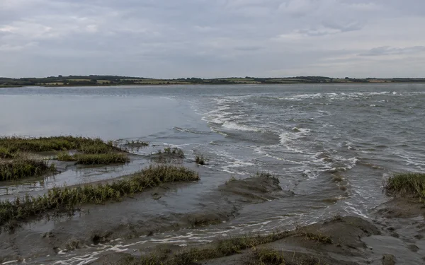 A broad estuary beneath a pale grey overcast sky, with smoother water on the left meeting choppy, foamy ripples on the right; wet mud channels and clumps of…