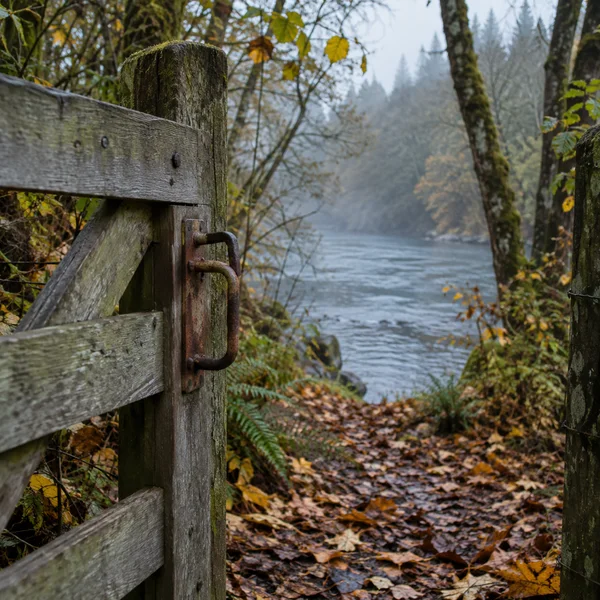 A weathered wooden gate with a rusty iron handle stands beside a leaf-covered path leading to a blue-grey river in a misty woodland.
