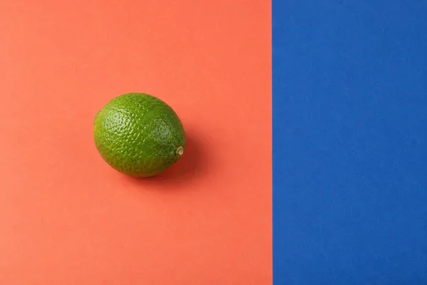 A whole green lime with a dimpled rind rests on a coral paper surface beside a vertical ultramarine-blue field, with a soft shadow extending to the lower right.