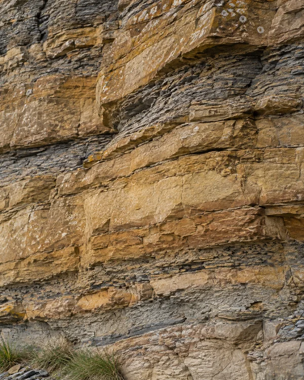 Close view of a weathered cliff face with layered buff and ochre rock, thin grey bands, cracks, ledges and pale lichen flecks; tufts of grass and loose stones…