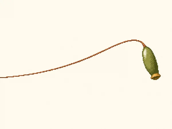 A pixel-art moss sporophyte stretches across a warm ivory background, with a thin copper-brown stalk curving up to an elongated green capsule with an ochre cap…