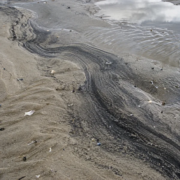 A winding band of dark grains crosses wet pale sand on a tidal flat, with ripple marks, scattered shell fragments and a thin reflective sheet of water along…
