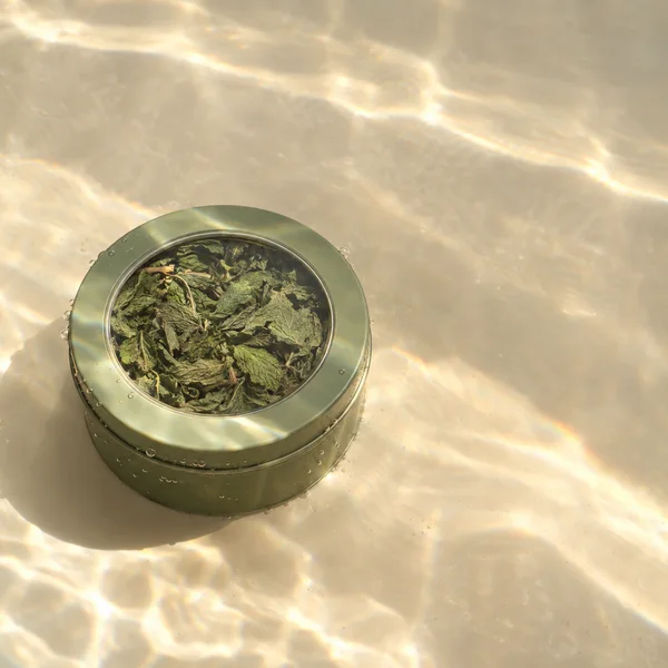 A sage-green round metal tin with a clear circular lid rests on a pale underwater floor, with dried leaves visible inside and bright diagonal light patterns…