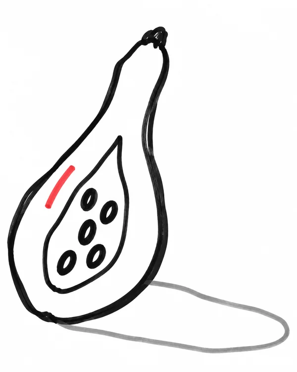 A hand-drawn black-outline illustration of a lengthwise papaya half, angled from the lower left toward the upper centre, with five black seed loops, a short…