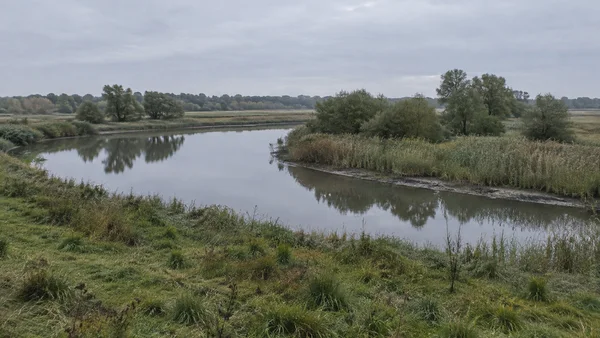 A still, curved oxbow lake reflects a pale overcast sky and bordering trees, with reed beds along the muddy banks, wet meadow grass in the foreground, and a…