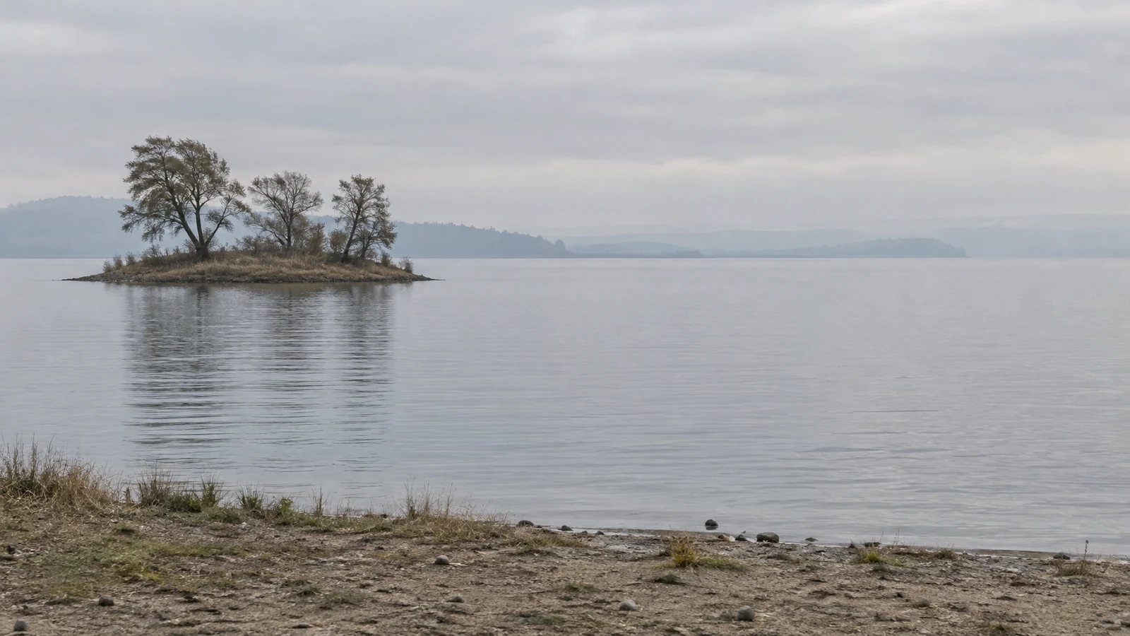 A small island with three sparse trees sits on the left side of a calm lake, beyond a pebbled, grassy shoreline under a broad overcast sky; hazy wooded shores…