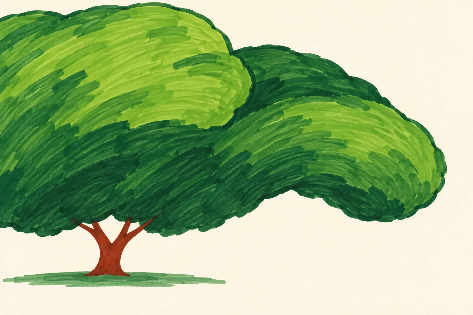 A large lime- and forest-green tree canopy stretches from the left edge across most of the upper frame, drooping into a rounded lobe on the right.