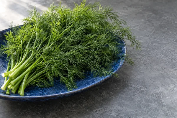 A fresh bunch of green dill lies diagonally across a shallow cobalt-blue glazed platter on a grey stone counter, with cut stems at the lower left and feathery…