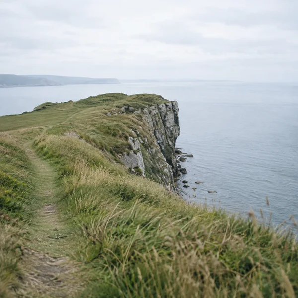 A narrow grassy coastal headland with a worn footpath runs toward a weathered grey cliff above calm pale water, with a hazy distant shoreline and overcast sky.