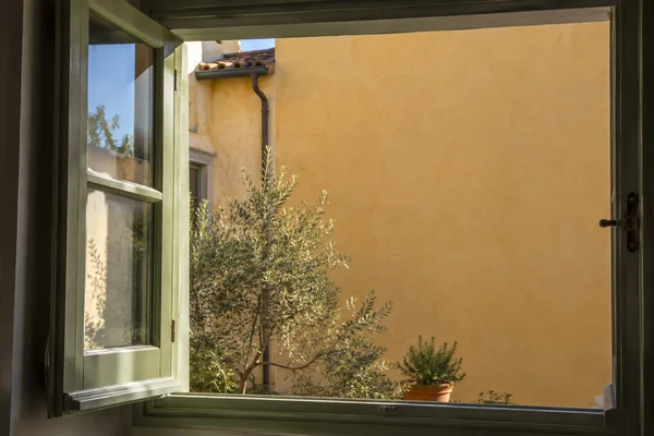 An open pale sage-green casement frames a sunlit ochre courtyard wall, with blue sky reflected in the glass, leafy potted plants below, and a shaded interior…