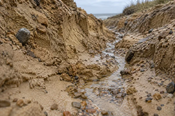 A shallow thread of water winds through a miniature channel cut into pale ochre sandy clay, between crumbling banks dotted with small stones; a strip of sea is…