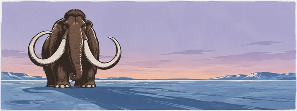 A dark brown woolly mammoth stands facing forward on a blue frozen plain, with two huge curling ivory tusks and a long shadow extending toward the right.