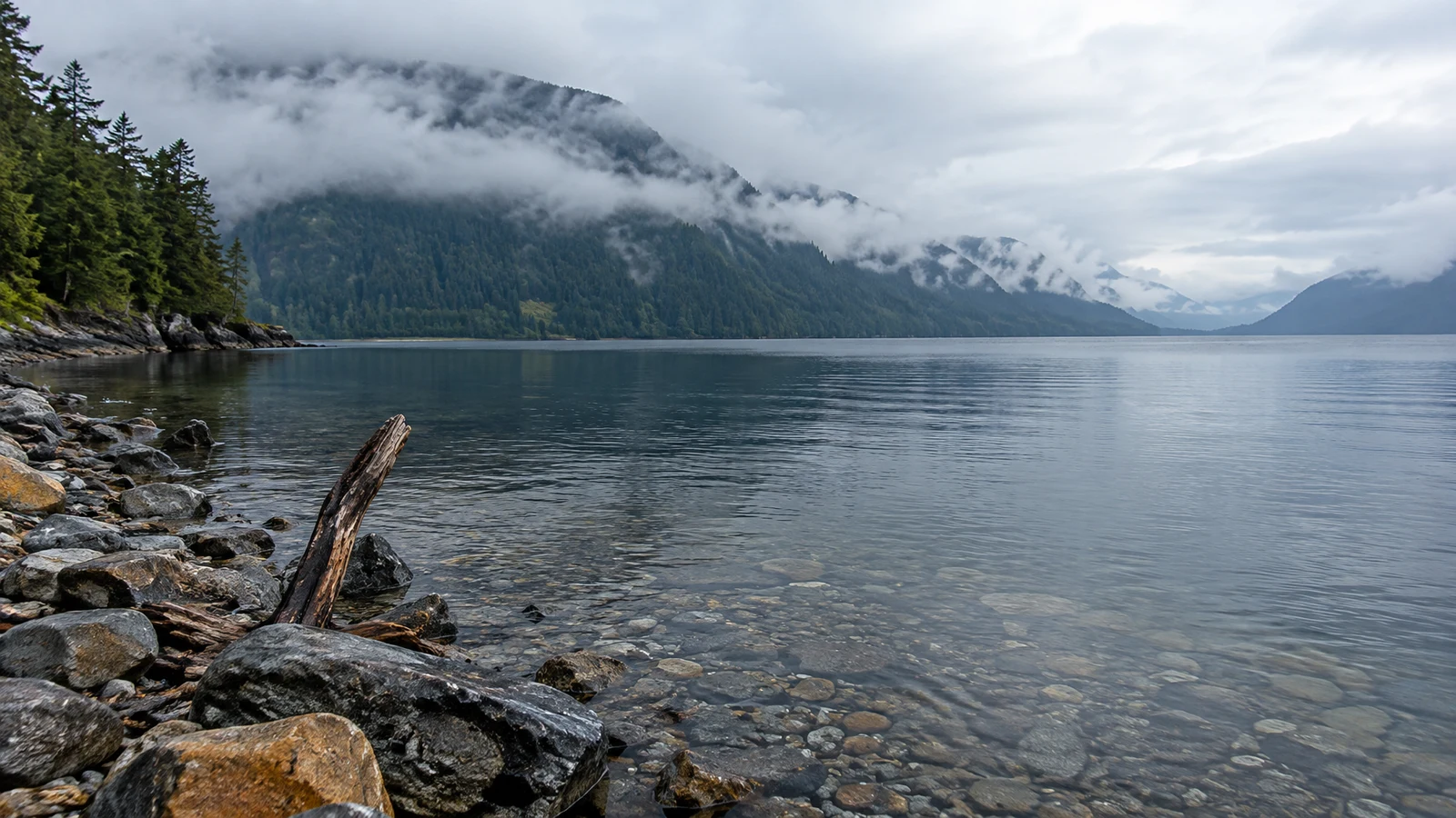 A stony shoreline with a weathered branch in the foreground borders a calm lake, with clear shallows, forested mountain slopes and low mist beneath an overcast…