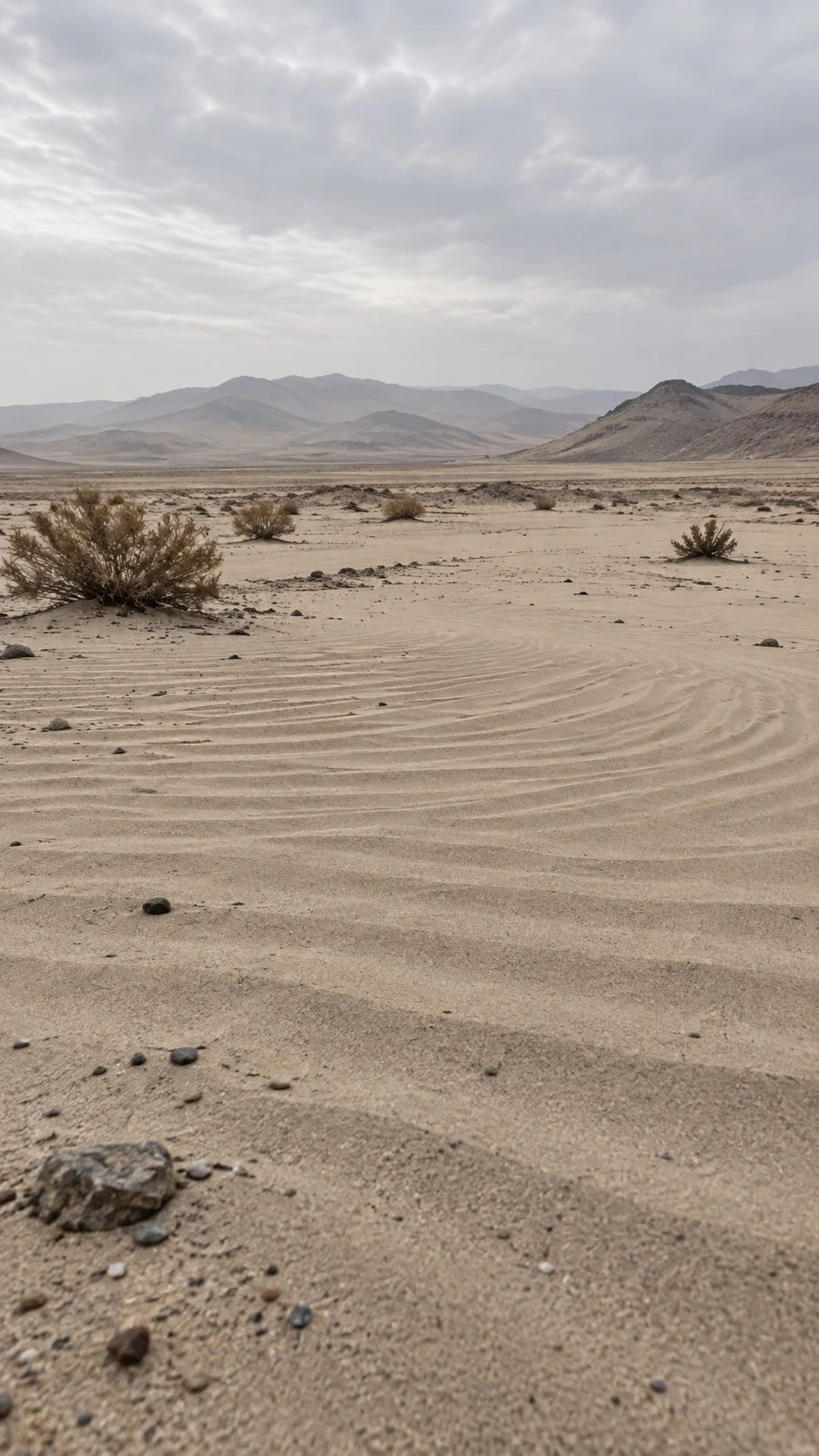 A vertical desert landscape with broad curved wind ripples across pale sand, scattered pebbles and dry shrubs, and layered muted hills beneath a cloudy grey…