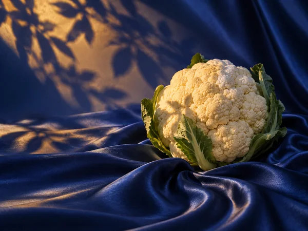A whole ivory cauliflower with green leaves sits right of center on gathered deep-blue satin.