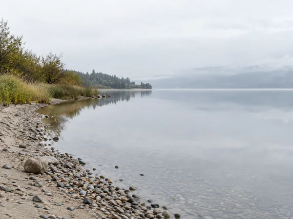A quiet lake shoreline curves from a sandy, pebble-strewn foreground past reeds and low trees toward a distant forested point softened by mist.