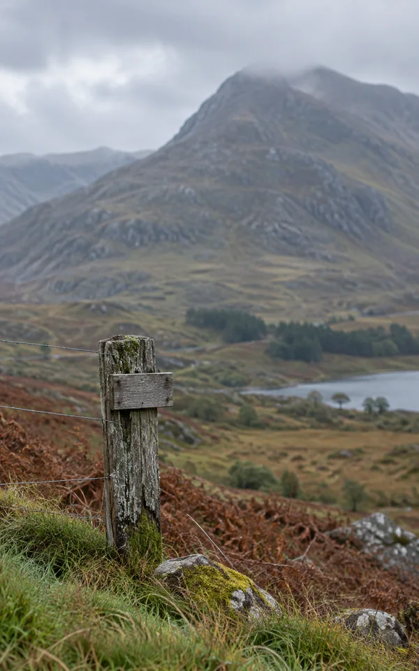 A moss- and lichen-covered wooden fence post with a blank grey board stands among green grass and rust-brown bracken, with fence wires crossing the foreground…