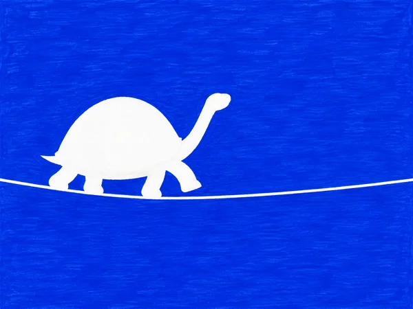 A white, featureless turtle silhouette with a domed shell and raised neck steps to the right along a thin, slightly dipping white line against a textured…