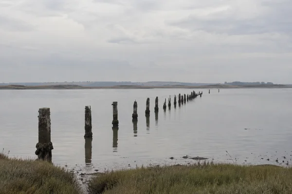 A diagonal row of dark, weathered wooden posts crosses a still grey estuary toward a low, hazy shore beneath a broad overcast sky.