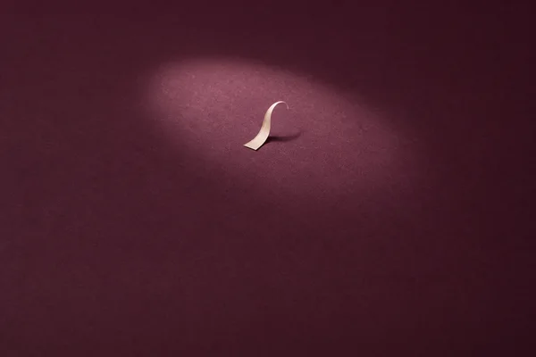 A small ivory paper strip curls upward from a plum-colored textured surface, isolated in a softly lit pool of light with ample empty space around it.