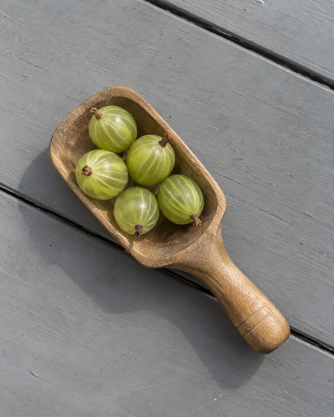 An overhead view of five pale green striped gooseberries with dry blossom tips nestled in a wooden scoop on a grey-painted plank bench; the scoop lies…