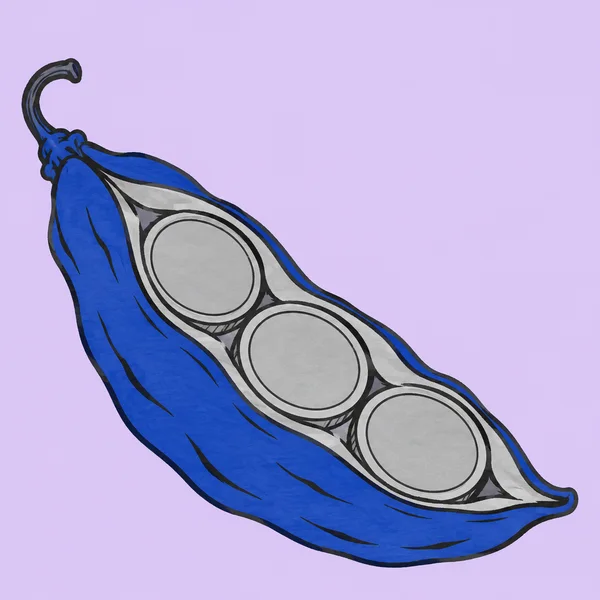 A cobalt-blue seedpod lies diagonally across a pale-lilac background, opened to show three large silver-gray coins, with a curled stalk at the upper left.