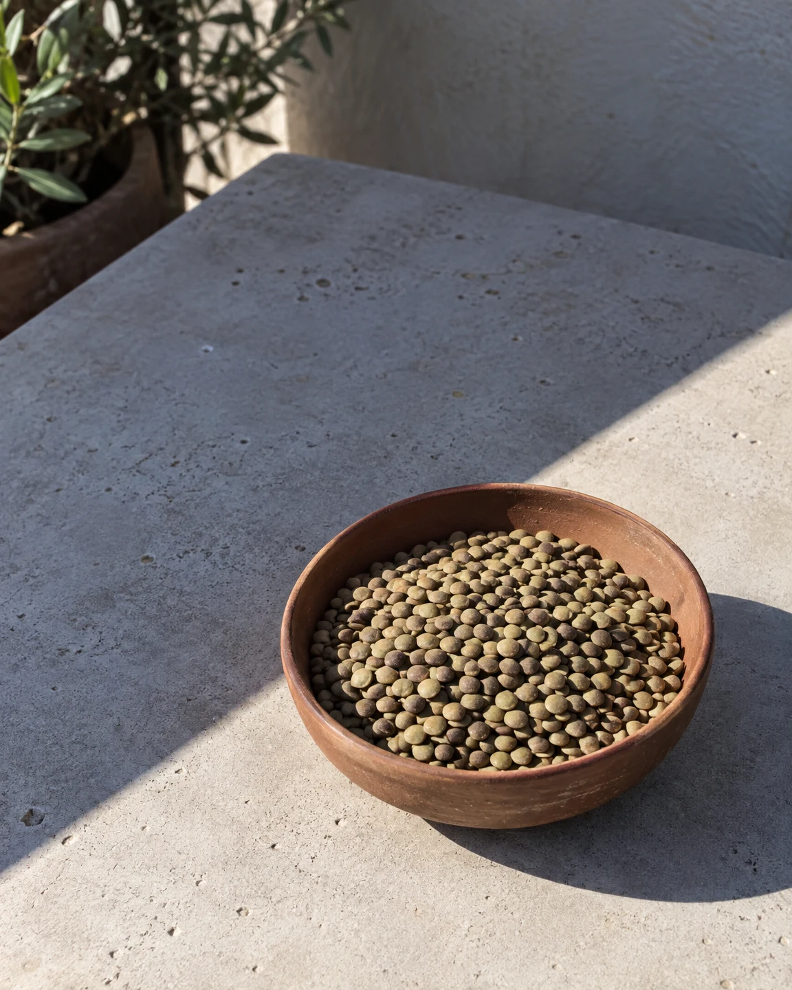 A shallow reddish-brown earthenware bowl filled with green-brown lentils sits on a pale concrete patio table.