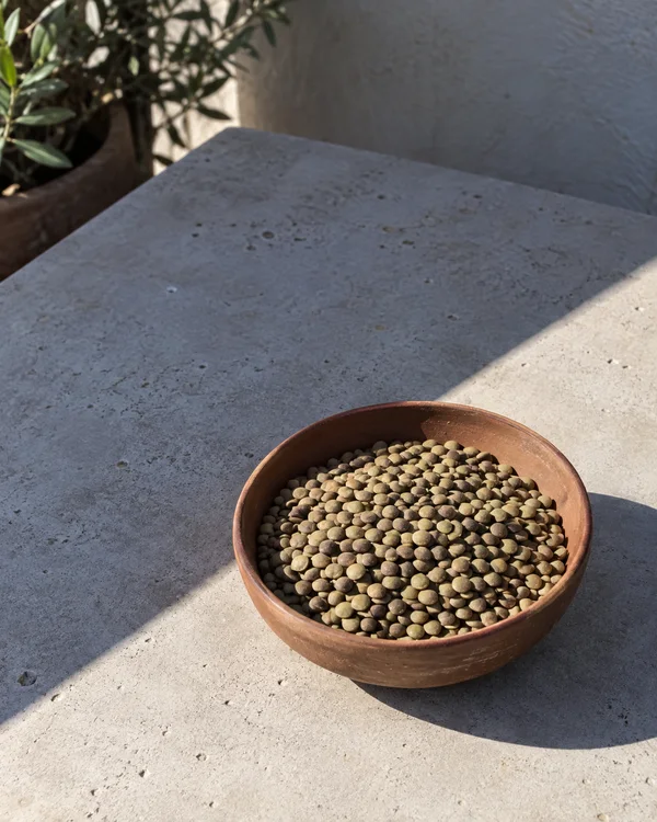 A shallow reddish-brown earthenware bowl filled with green-brown lentils sits on a pale concrete patio table.