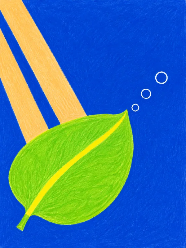 A large lime-green leaf with a thick yellow midrib fills the lower-left of a textured ultramarine illustration.