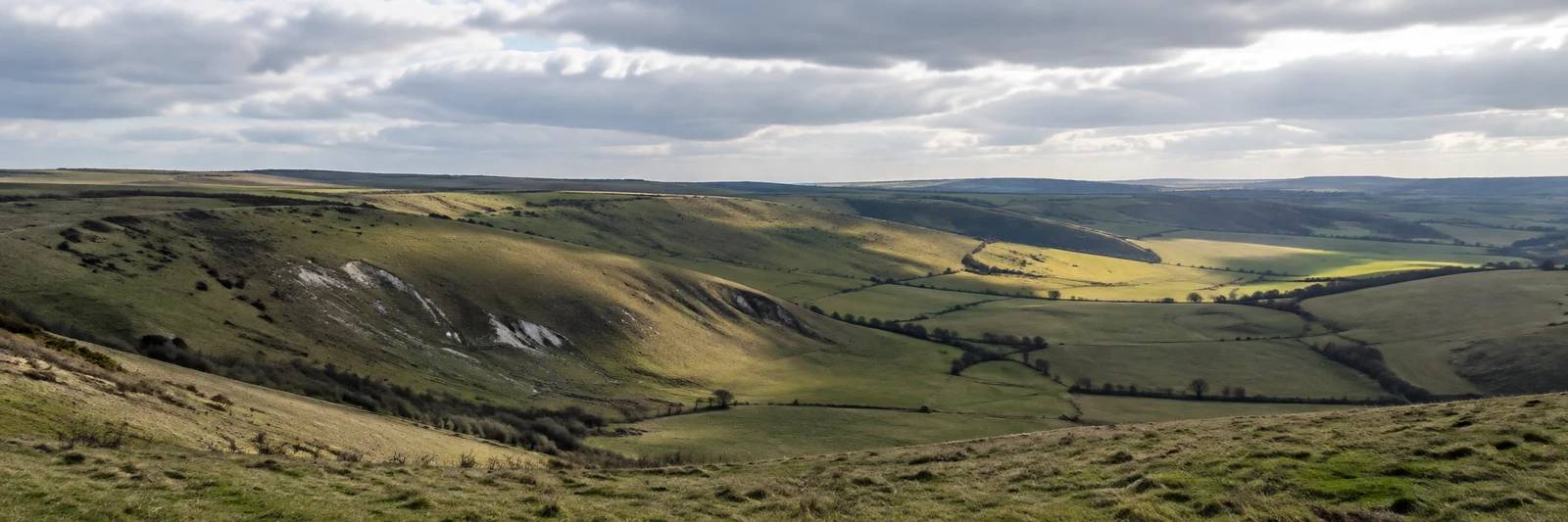A wide view across rolling green and ochre downland, with pale chalk scars on the slopes, dark hedgerow lines tracing field boundaries, and a broad cloud…