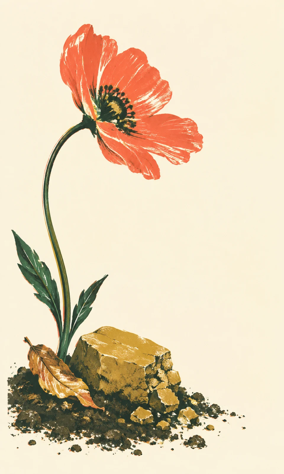 A tall wildflower with an oversized coral blossom and deep-green leaves grows beside a crumbling ochre stone, a curled fallen leaf, and scattered dark soil on…
