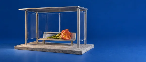 A miniature bus shelter with a brushed-metal frame, clear side panels, a slatted bench and a coral-colored flower resting across the seat, displayed on a…