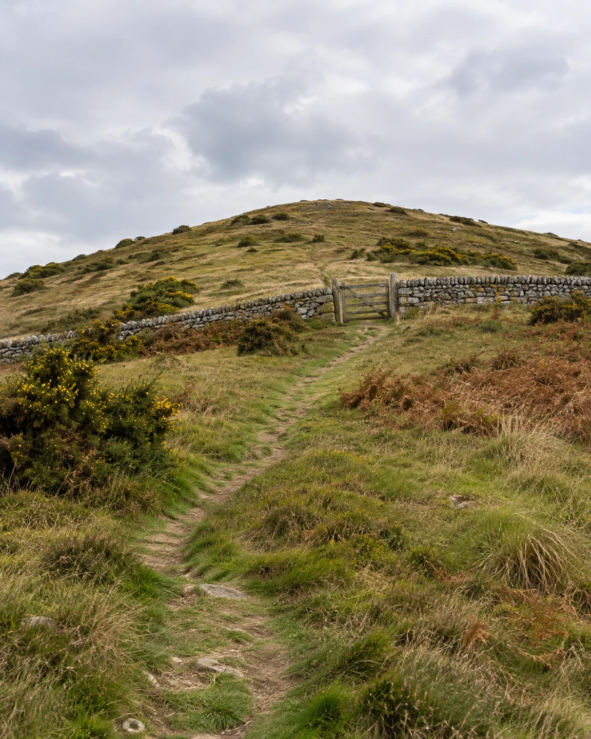 A worn footpath climbs a grassy upland hill toward a wooden gate set in a dry-stone wall, with gorse, bracken and a cloudy grey sky.