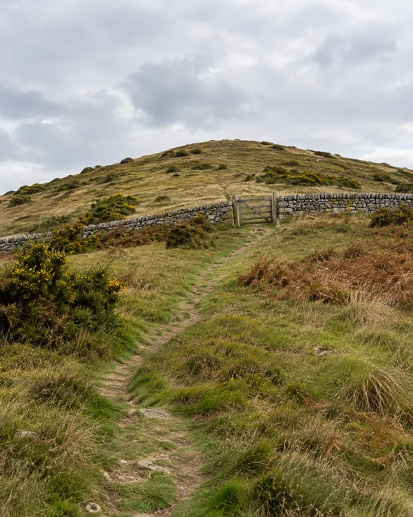 A worn footpath climbs a grassy upland hill toward a wooden gate set in a dry-stone wall, with gorse, bracken and a cloudy grey sky.