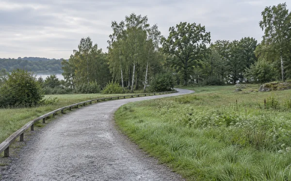 A pale gravel path curves through a green meadow toward dense woodland, with a low timber rail along one side and a lake visible through the trees beneath an…