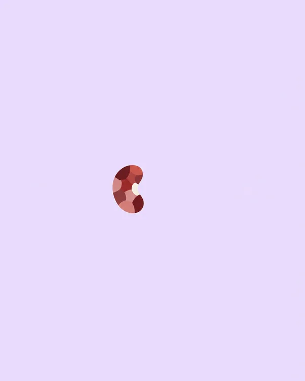 A small upright kidney-bean-shaped form made of rounded red, rose and ivory sections sits slightly left of center on a pale lavender background, with broad…