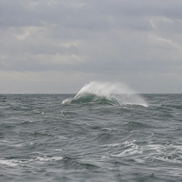 A solitary grey-green ocean wave breaks in the middle distance, sending a broad plume of white spray sideways beneath a pale overcast sky; choppy ripples and…