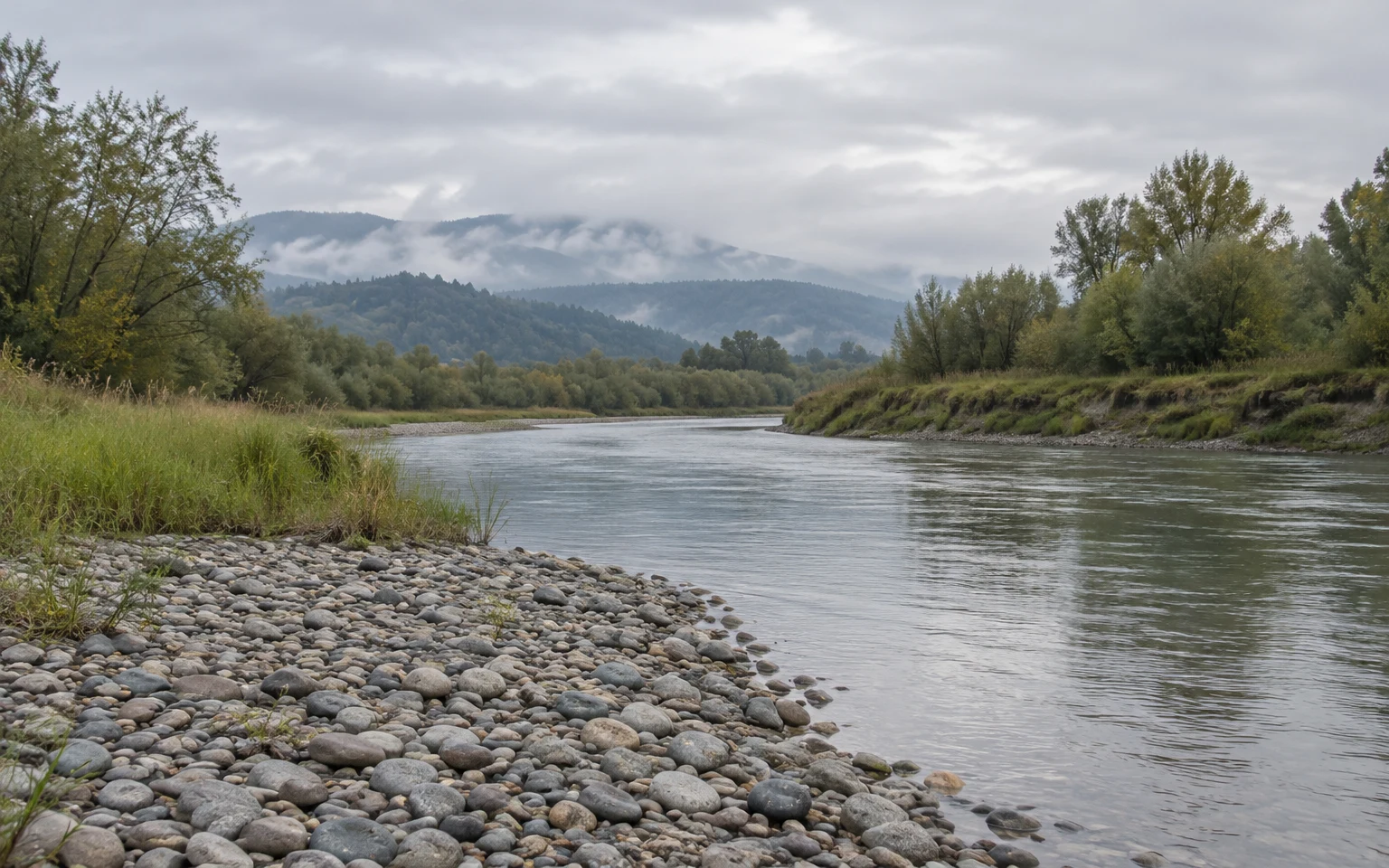 A broad river curves past a pale gravel bar in the foreground, with grassy banks, willows, and alders beneath a cloudy sky; wooded hills fade into mist in the…