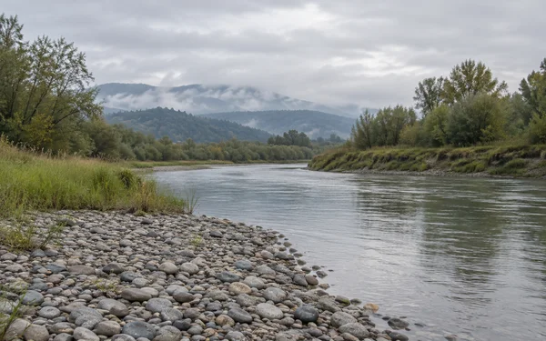 A broad river curves past a pale gravel bar in the foreground, with grassy banks, willows, and alders beneath a cloudy sky; wooded hills fade into mist in the…