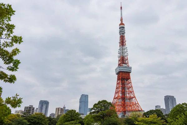 Tokyo Tower rises above park trees and surrounding city buildings beneath a pale, cloudy sky, with leafy branches framing the left edge.