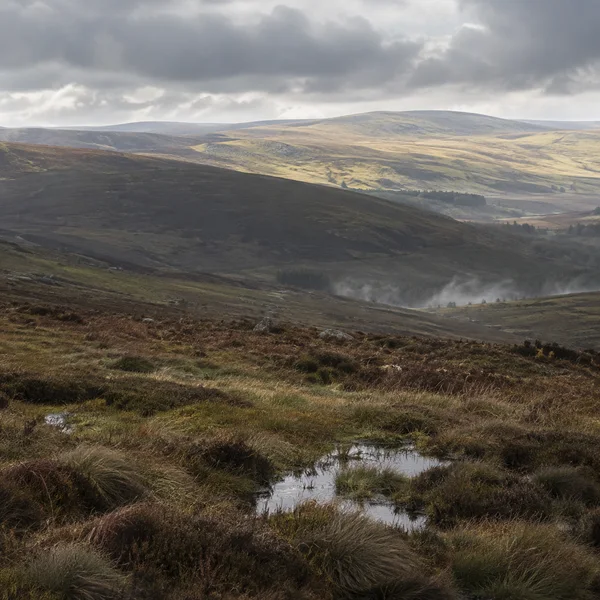 A square landscape photograph of a wet upland moor with tussock grass, heather, bracken and reflective puddles in the foreground.
