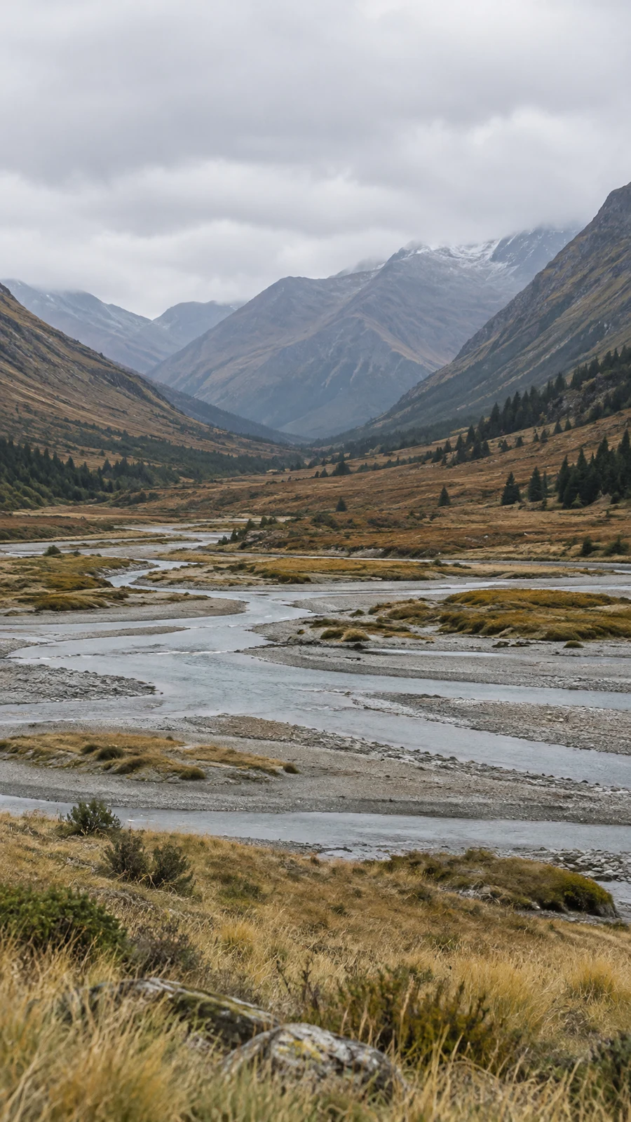 A braided shallow river crosses pale gravel bars and golden grass in a mountain valley, with dark conifers on rust-brown slopes and cloud-covered ridgelines…