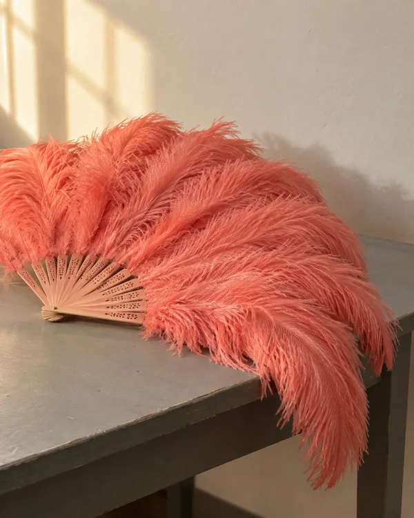 A coral-pink feather fan lies partly open on a grey wooden table, its long plumes spilling over the front edge beneath a sunlit cream wall.