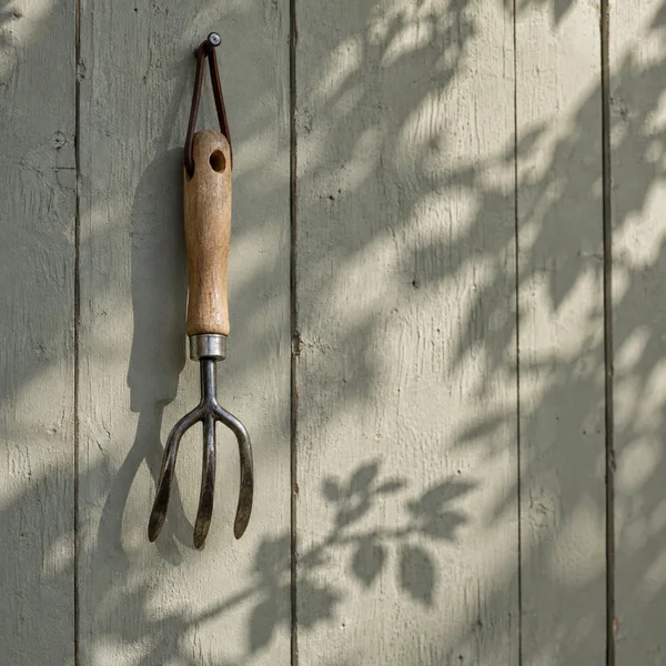 A small three-tined steel hand rake hangs by a dark-brown leather loop from a nail on a weathered pale grey-green timber wall.