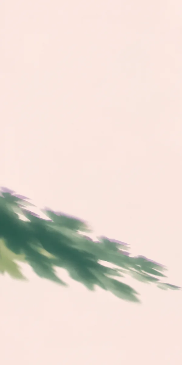 An abstract diagonal band of soft green shadow with a faint violet fringe crosses a pale blush background, leaving a large open area above.